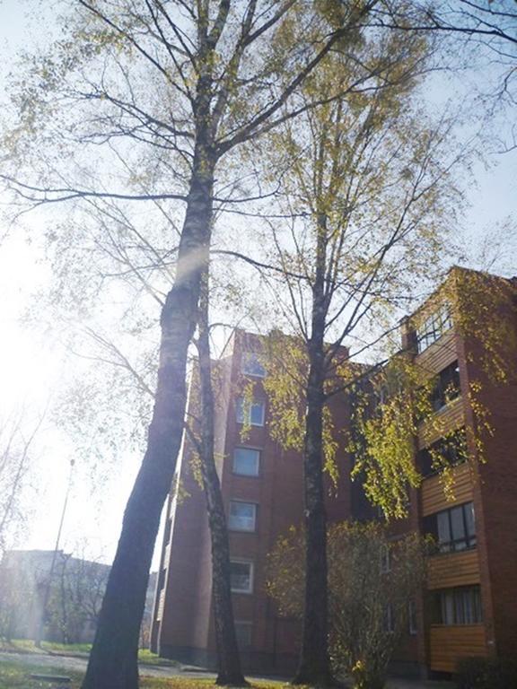 Saulys1 Apartment Druskininkai Phòng bức ảnh